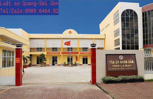 Những việc Luật sư sẽ làm tại Tòa án để bào chữa, bảo vệ cho khách hàng trong các vụ án: Hình sự, dân sự, đất đai, hôn nhân, hành chính, thừa kế - di chúc, tranh chấp hợp đồng, kinh doanh- thương mại, lao động...